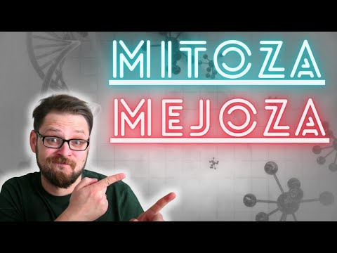 Mitosis and Meiosis, Tiring Cell Divisions. This is not only quite easy, but also very interesting!