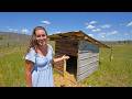 Bringing This ABANDONED RANCH Back To LIFE