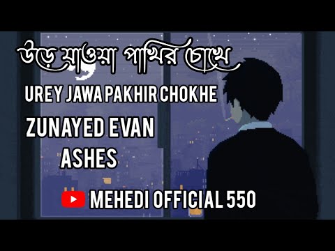 Urey Jawa Pakhir Chokhe (উড়ে যাওয়া পাখির চোখে) - Ashes Lyrics video - Mehedi Hasan