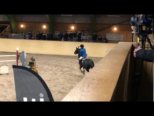 Out of the same family - International Jumping Horse Diamant