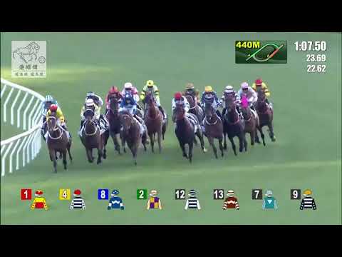 港經佬賽事重溫(383)｜30-01-2022 沙田日馬第九場賽事重溫｜浪漫勇士 ROMANTIC WARRIOR (E486)｜田泰安 K Teetan｜沈集成 C S Shum｜免費心水及賽馬貼士