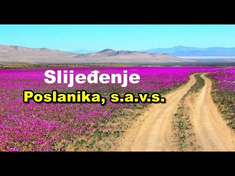 Slijeđenje Poslanika, sallallahu alejhi ve sellem