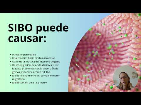 Todo sobre SIBO