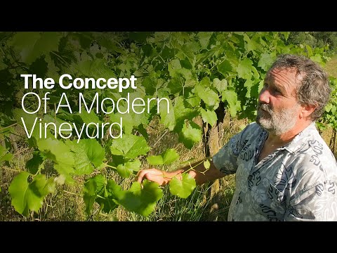 The Vineyard Of The Future: Resistant Grape Varieties In A Working Eco System