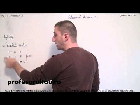 06   cls11   Determinanti   determinanti de ordin 3   aplicatii   partea 3 - profesorultau.ro