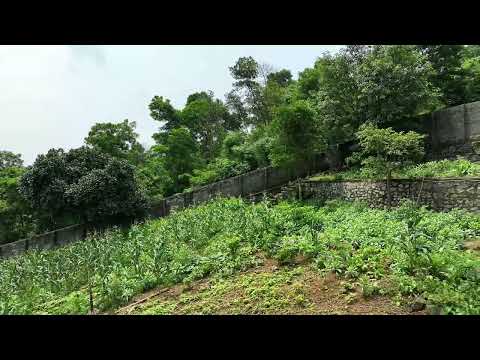 2656m2 Đồng Bồ Đồng Bèn, Đông Xuân Quốc Oai có 300m đất ở (gần rừng nguyên sinh)