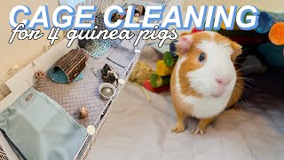 CAGE CLEANING FOR 4 GUINEA PIGS