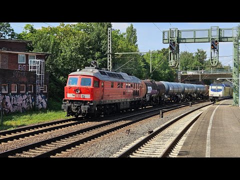 Treinen op station Hamburg-Harburg/Züge am Bahnhof Hamburg-Harburg 27-8-2024