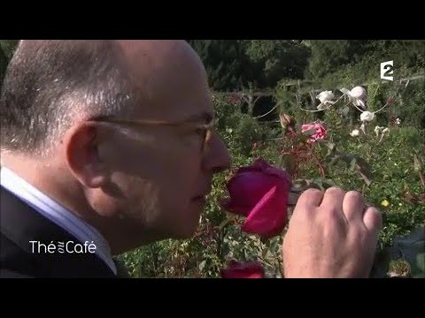 Une journée avec Bernard Cazeneuve - Thé ou Café - 22/10/2017