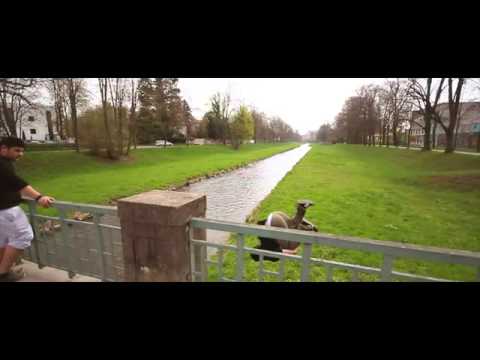 3Run people are awesome