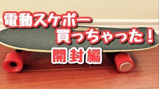 電動スケボー買っちゃった【開封編】電動スケートボード