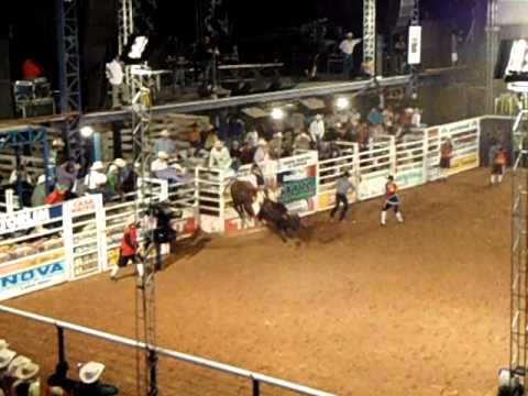 rogerio ferreira x fricote   juninho calegari