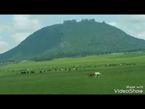 Umar Suleyman man of the much