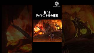 熱線使いの共演 #モンハン #mhxx
