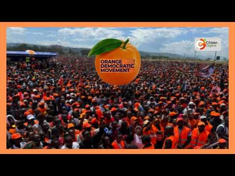 ODM backs Ruto's 2027 re-election bid