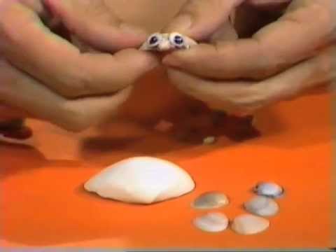 Toy Tortoise - Made from Seashells