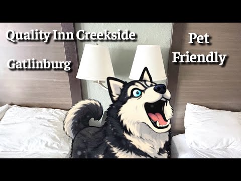 Pet Friendly Gatlinburg Hotel Quality Inn Creekside saw coyotes and snow 1-26