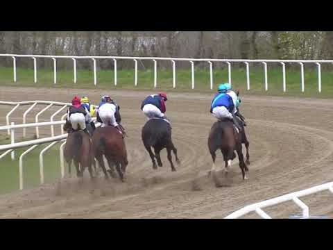 Plantstepsdream debutlopp 10/4/2019 Jägersro