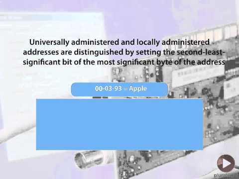 Layer 2 Detailed Overview