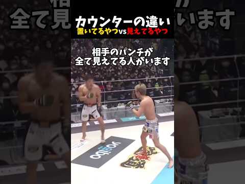 カウンターの違い😳置いてるやつ vs 見えてるやつ #shorts #格闘技 #k1 #rizin #breakingdown
