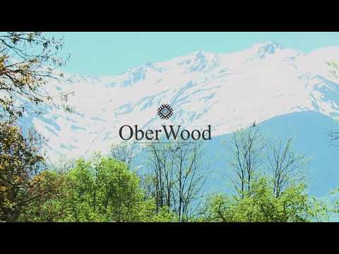 Oberwood Intro