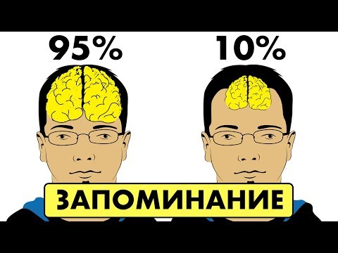 12 СЕКРЕТОВ, КАК УЛУЧШИТЬ ПАМЯТЬ. Лайфхаки для мозга
