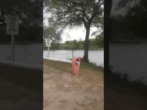 Salto la Vieja Tres isletas chaco 😍