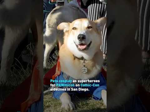 PAWmicon Event Gives Pets Their Own Comic-Con