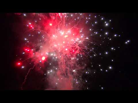 Cakebox 25Sh 30mm - "Weißblinker-Dahlien" [Batch 2018]