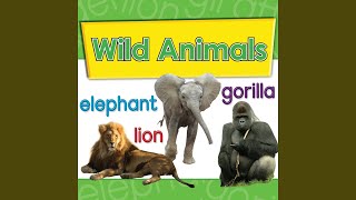 Do You Know What Has a Trunk?