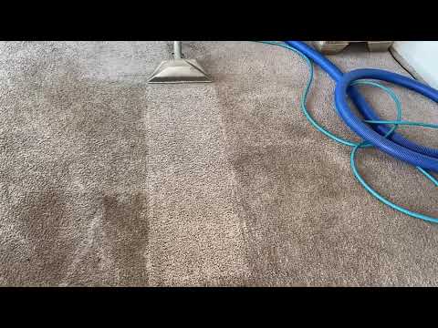 Carpet cleaning