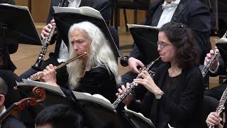 Beethoven Symphony Nr. 7, 3. Satz
