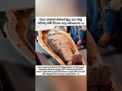 වසර 2500ක් පැරණි ඊජිප්තු මමී විවෘත කල මොහොත 😰💀 #sinhala #horror #horrorstories #creepy #education