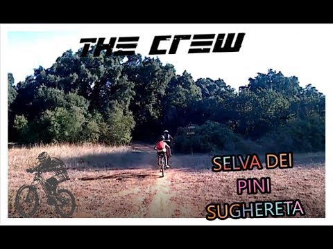 SUGHERETA SELVA DEI PINI-bici vlog