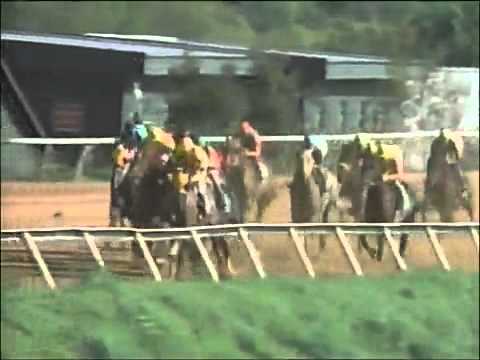 1994 Oaklawn Park Handicap - The Wicked North