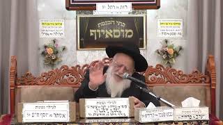 הרב יוסף חבה   הלכות בן איש חי   מוסאיוף (בית הכנסת מוסאיוף - ערוץ חדש) - התמונה מוצגת ישירות מתוך אתר האינטרנט יוטיוב. זכויות היוצרים בתמונה שייכות ליוצרה. קישור קרדיט למקור התוכן נמצא בתוך דף הסרטון