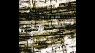 Space Electronic ⨳ Dark Ambient ⨳ Atomine Elektrine ⨳ The Deep Invisible (2008)