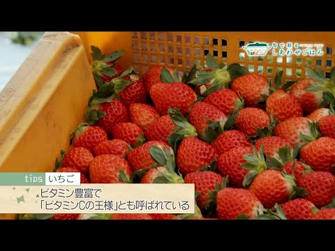 2021年12月31日(金)放送 いちご生産者の声