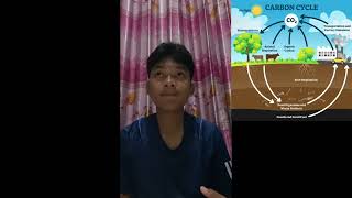 Download lagu TUGAS VIDEO DAUR KARBON TEGUH RAHMAT DANI mp3