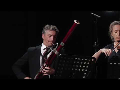 Gabriel Fauré | Pavane op. 50 arranged for Bassoon and Strings