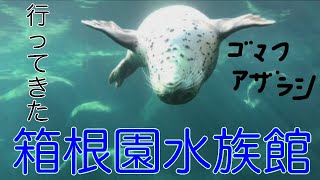 【VLOG】箱根園水族館行ってきた！！【レビュー】