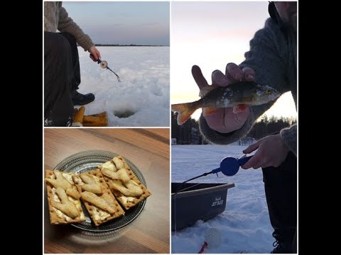 Ahven pilkillä Ounasjoella. -Kalastus jakso3- iltapalaksi paistettua ahventa