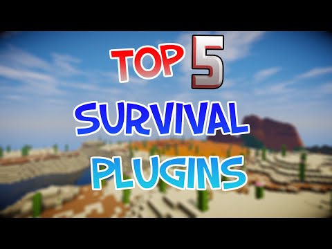 TOP 5 Plugins for 1.19 Survival Server