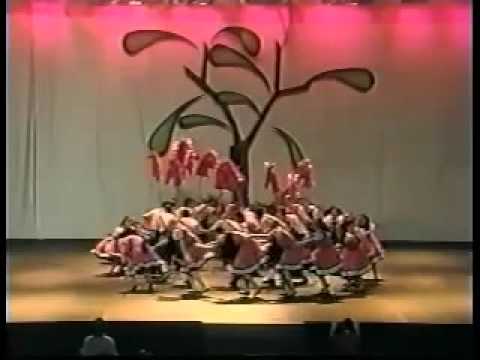 Kineret 2011   16 Recuento Kineret 30 años