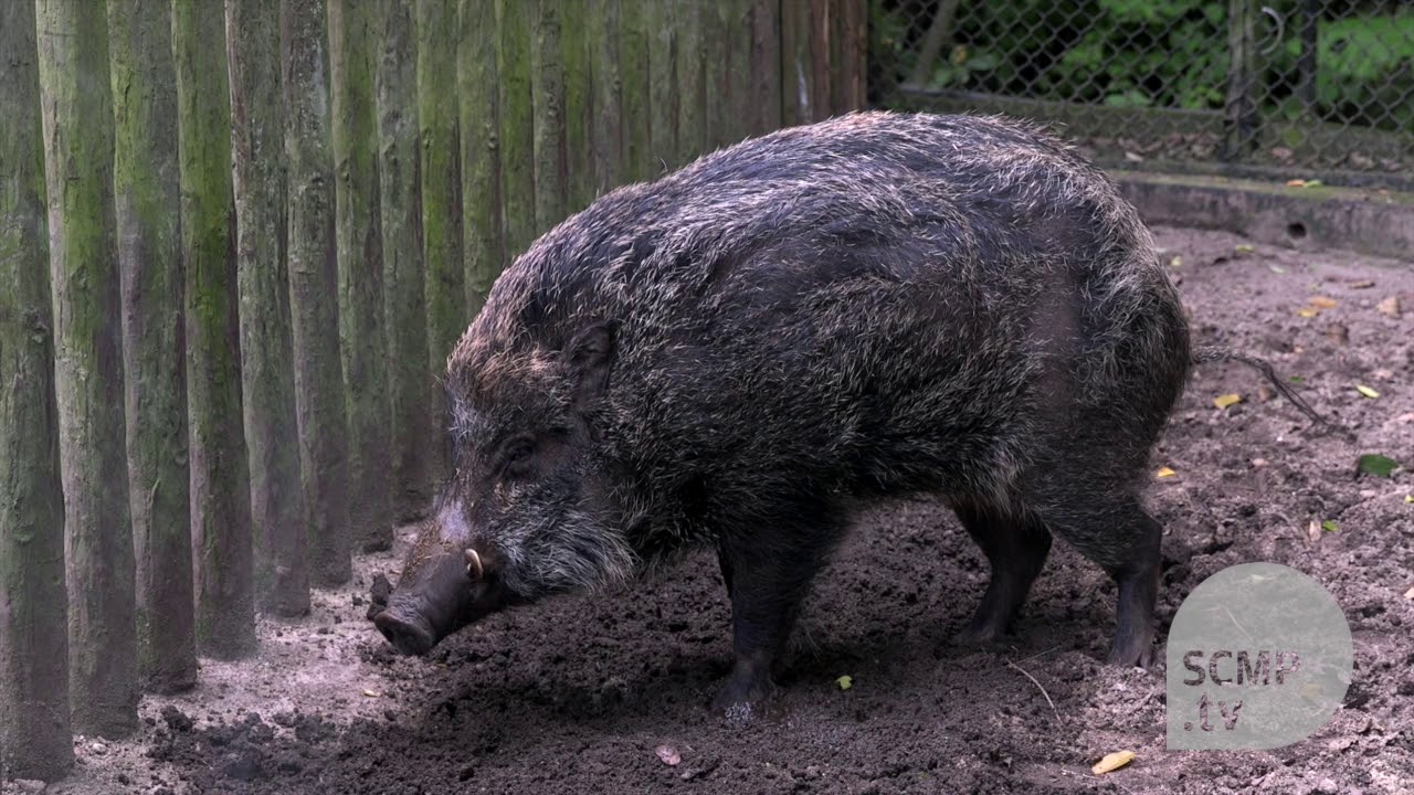 Explore Hong Kong’s Kadoorie Farm & Botanic Garden full of nature.