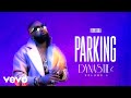 FERRE GOLA PARKING Visualizer
