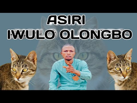 ASIRI IWULO OLONGBO @Dromoodoagbatv