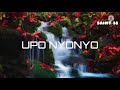 Saraphina Upo Nyonyo Lyrics