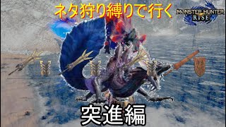 [MHRISE]突進ランス部隊が行く主泡狐竜