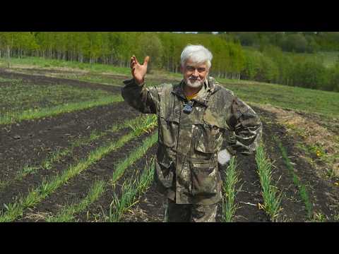 Вперёд, товарищи! На дачу! Выпуск от 26.05.26